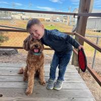 Ollie-the-Therapy-Dog